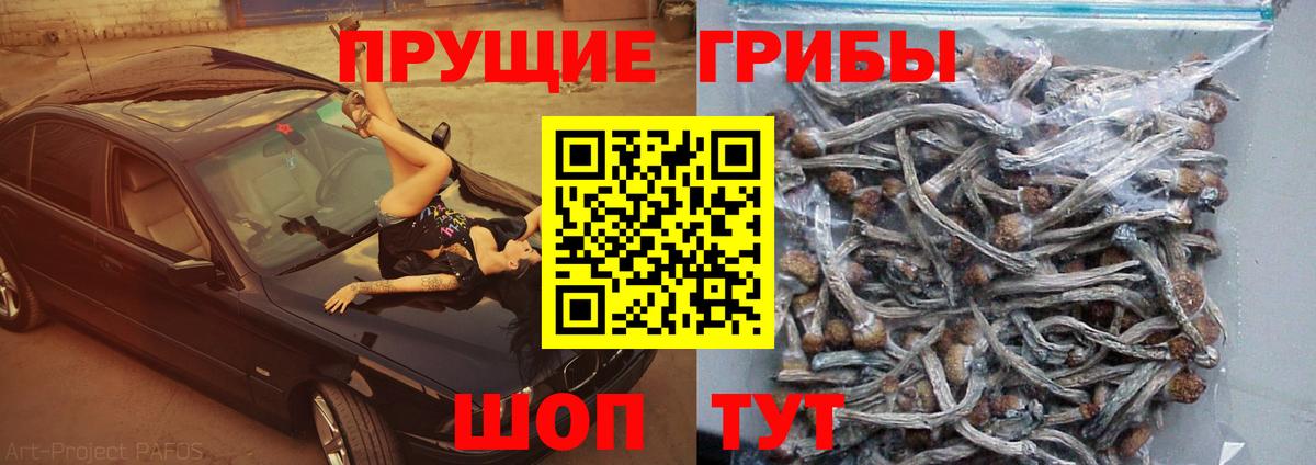 Галлюциногенные грибы мухоморы  Галлюциногенные грибы ЛСД  Гулькевичи  цена наркотик  Вход с VPN 